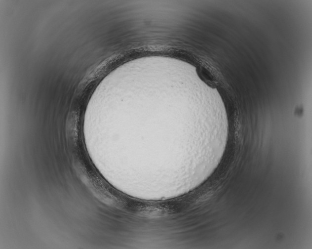 X0000116110542200912211635