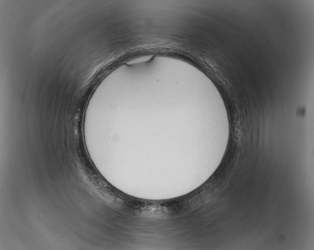 X0000116110543200912211635