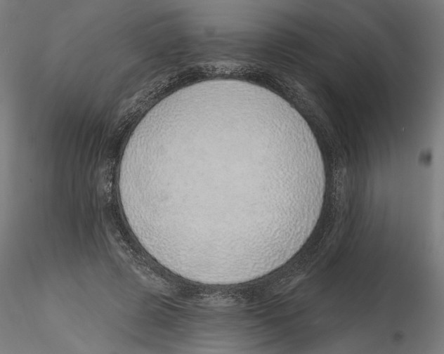 X0000116110545200912211635