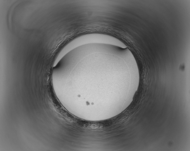 X0000116110546200912211635