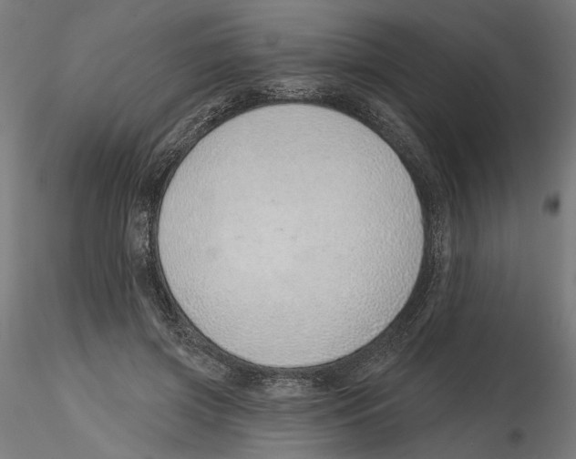 X0000116110549200912211635
