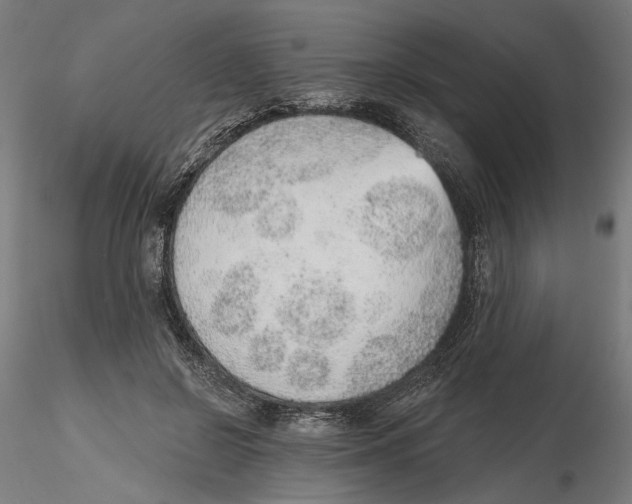 X0000116110550200912211635