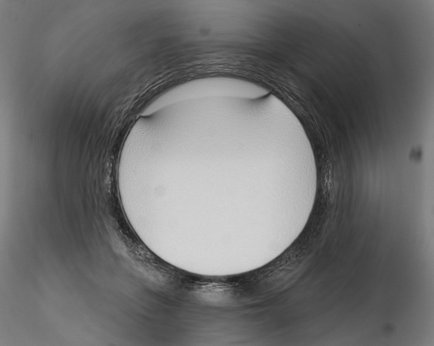 X0000116110551200912211635