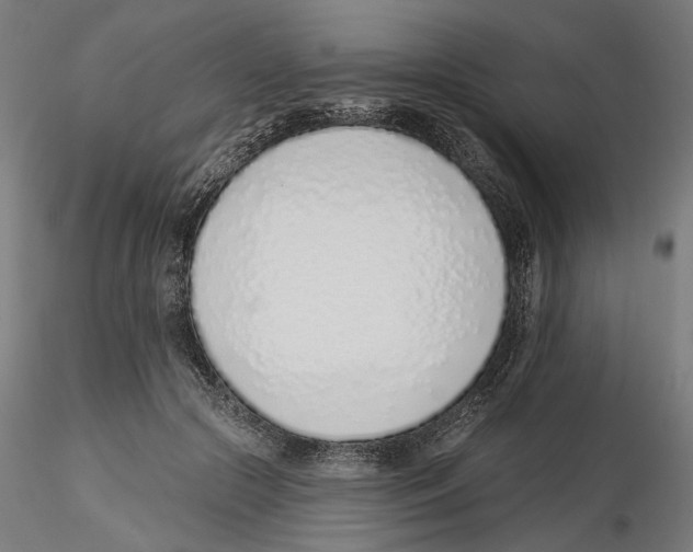 X0000116110553200912211635