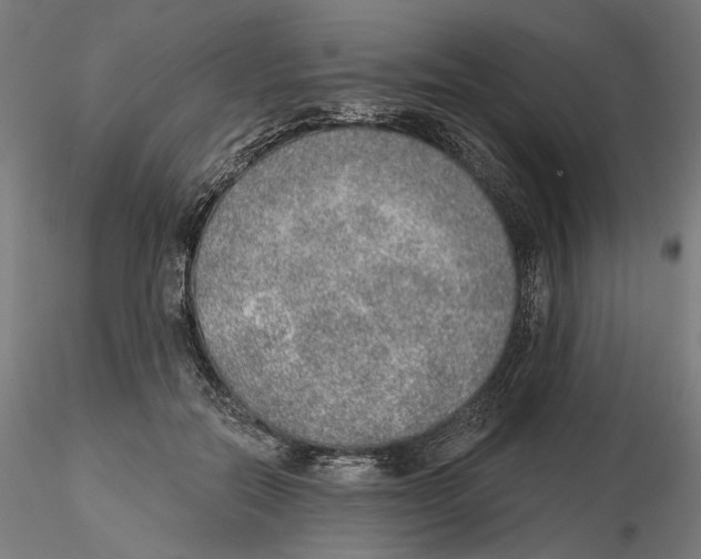 X0000116110554200912211635