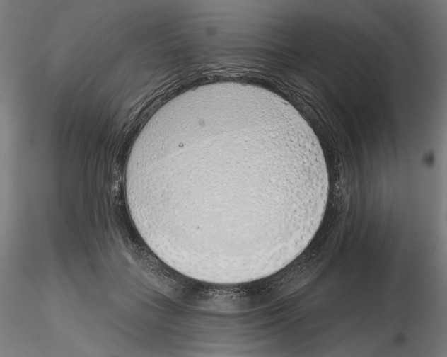 X0000116110555200912211635