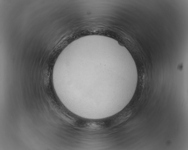 X0000116110558200912211635