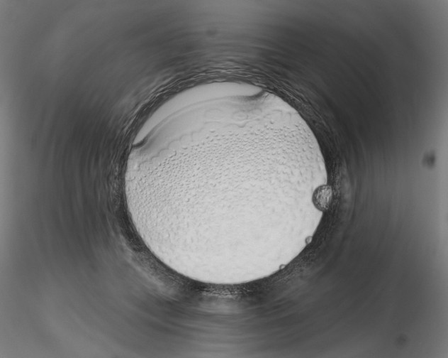 X0000116110559200912211635