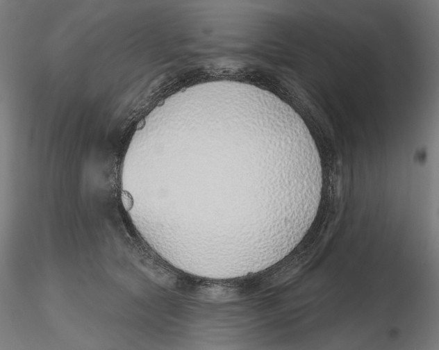 X0000116110561200912211635