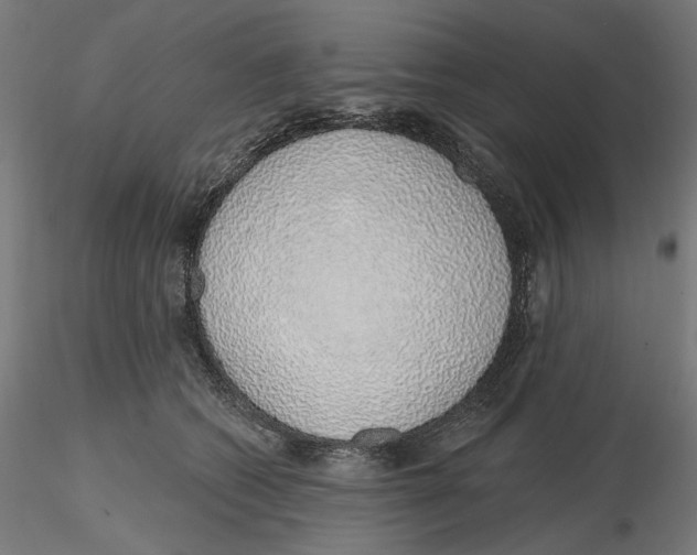 X0000116110562200912211635