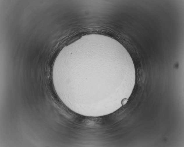 X0000116110563200912211635