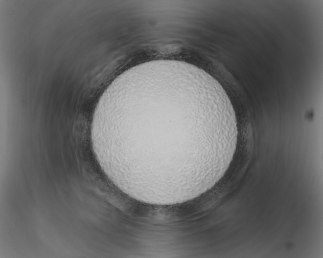 X0000116110565200912211635