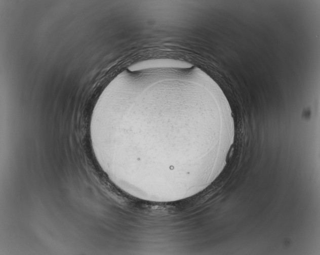 X0000116110566200912211635