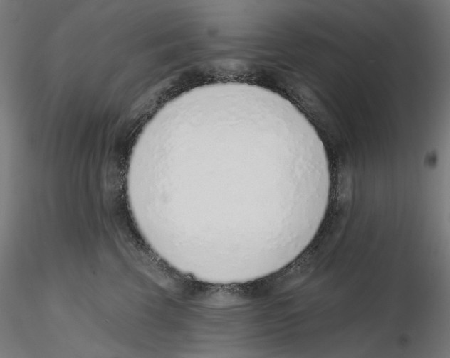 X0000116110569200912211635