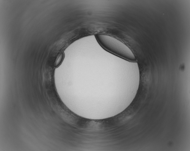 X0000116110570200912211635