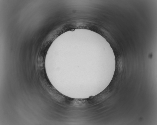 X0000116110571200912211635