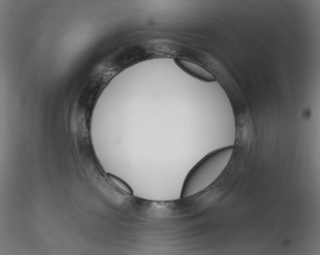 X0000116110573200912211635