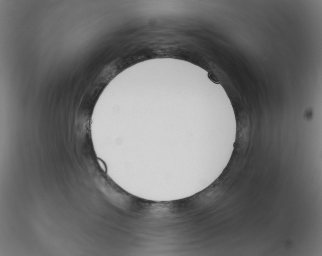 X0000116110574200912211635