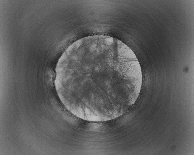X0000116110575200912211635