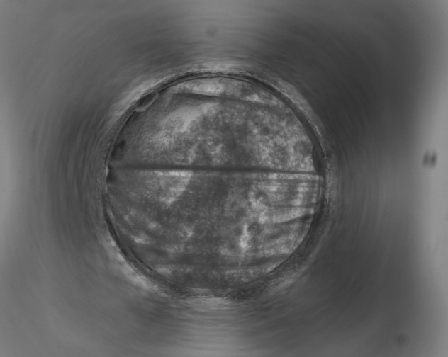 X0000116110577200912211634