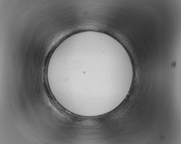 X0000116110578200912211634