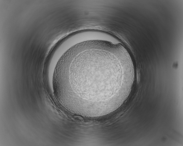 X0000116110579200912211634