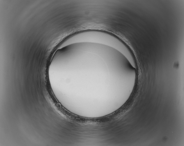 X0000116110581200912211634