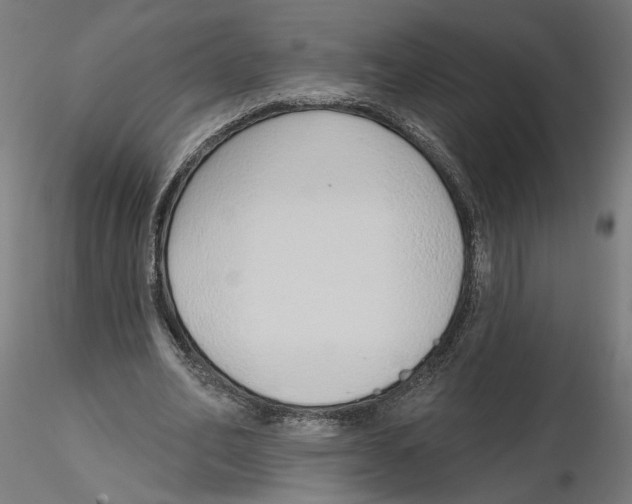 X0000116110582200912211634
