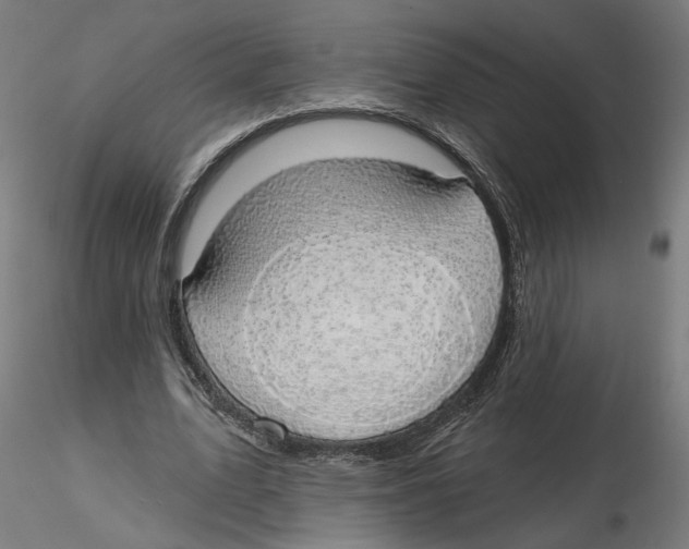 X0000116110583200912211634