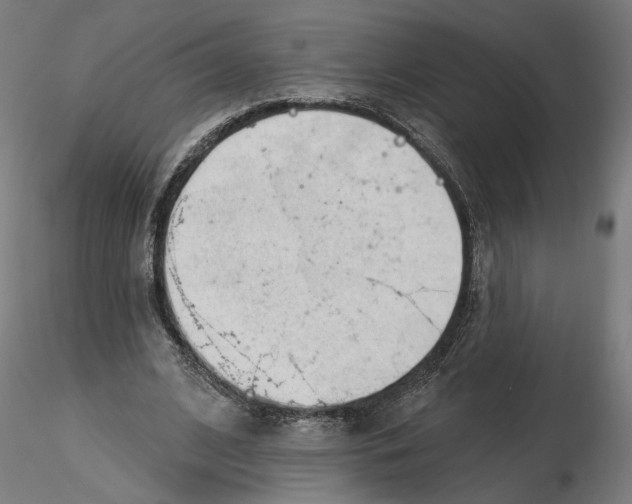 X0000116110584200912211634