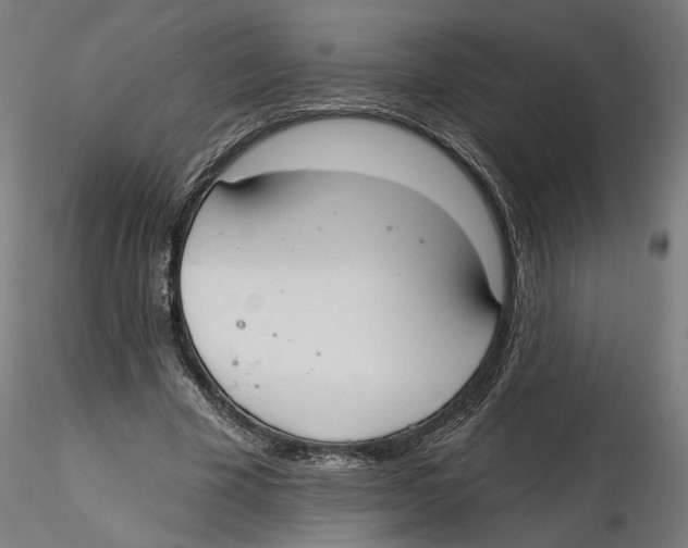 X0000116110585200912211634