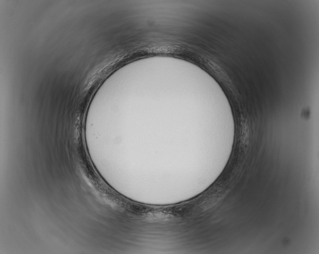 X0000116110586200912211634
