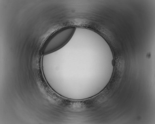 X0000116110587200912211634