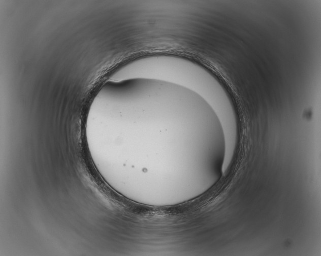 X0000116110589200912211634