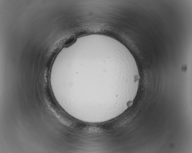 X0000116110590200912211634