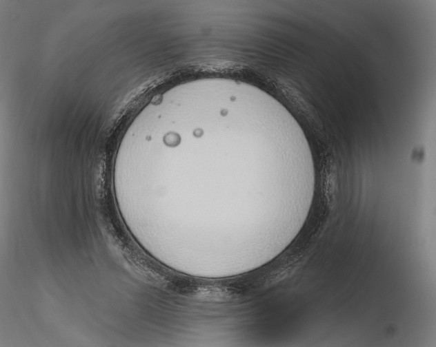 X0000116110591200912211634