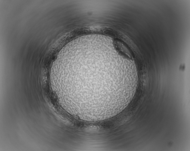 X0000116110593200912211634