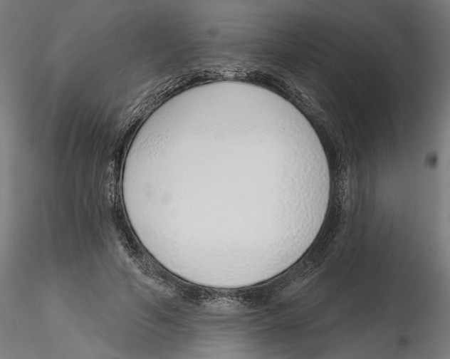 X0000116110594200912211634