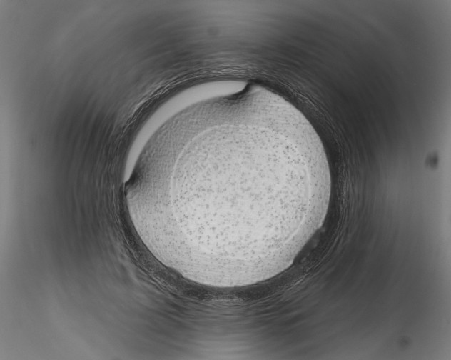 X0000116110595200912211634