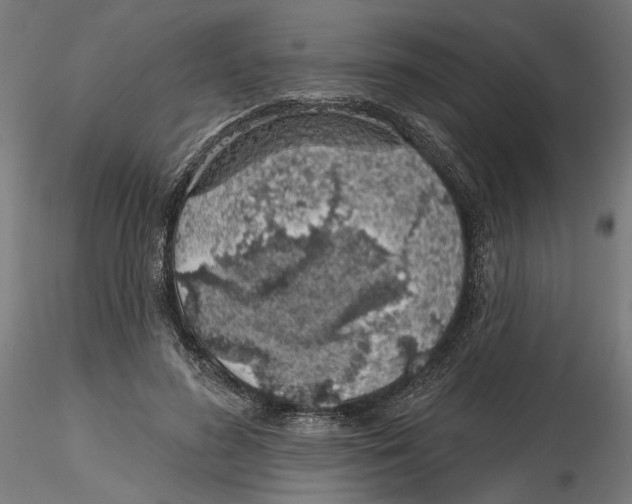 X0000116110596200912211634
