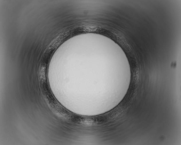 X0000116110598200912211634
