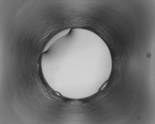 X0000116110599200912211634