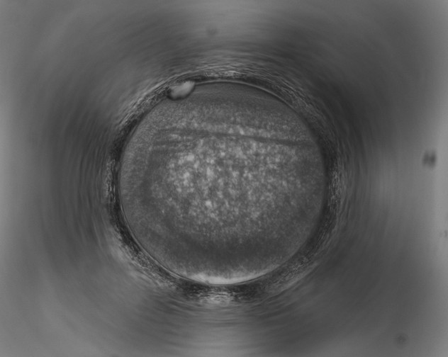 X0000116110600200912211634