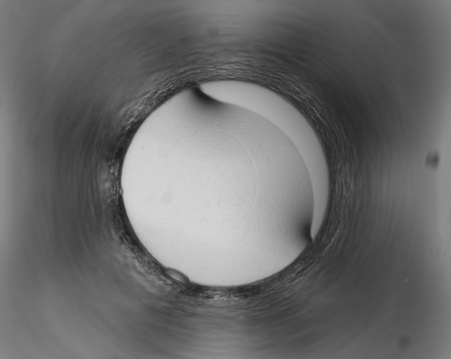 X0000116110601200912211634