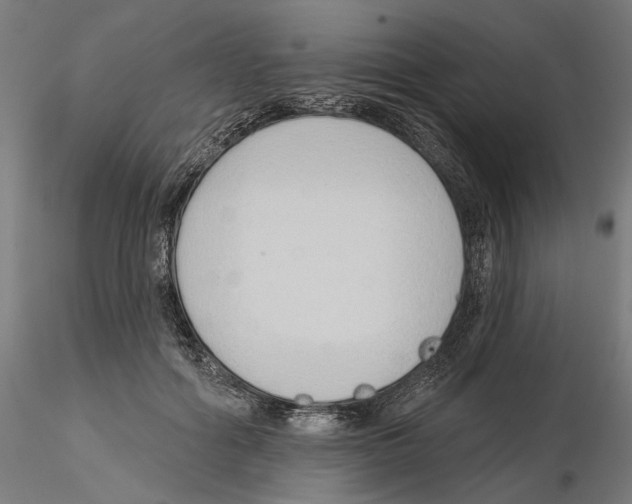 X0000116110602200912211634