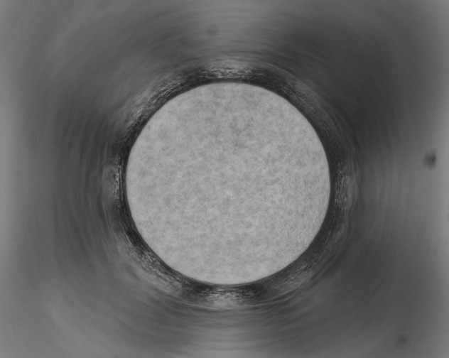 X0000116110604200912211634