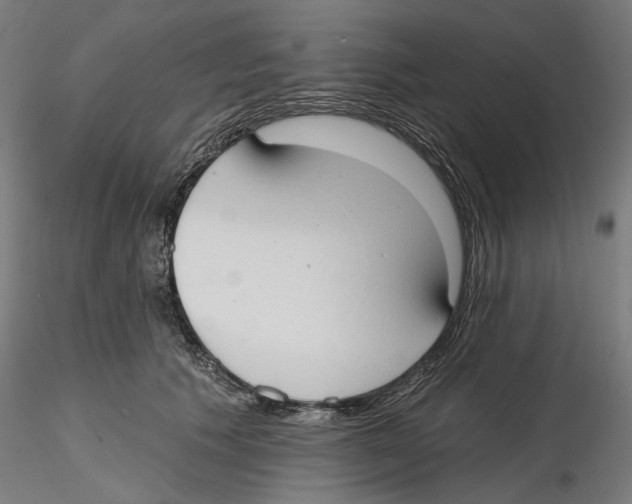 X0000116110609200912211634