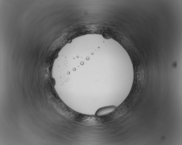 X0000116110611200912211634