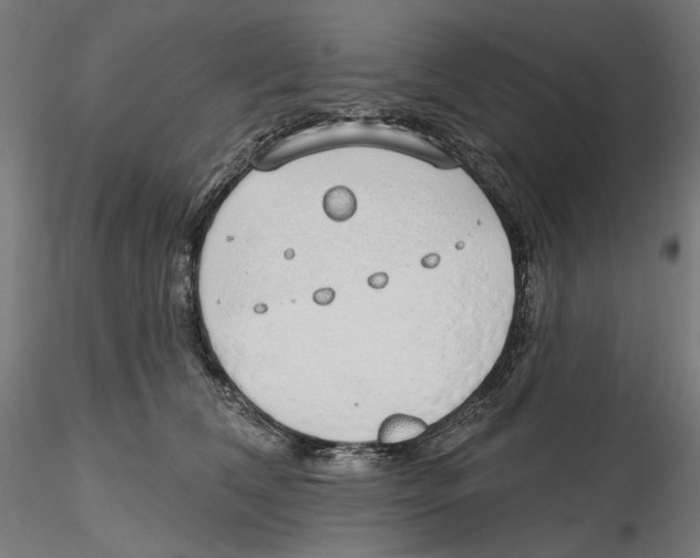 X0000116110612200912211634