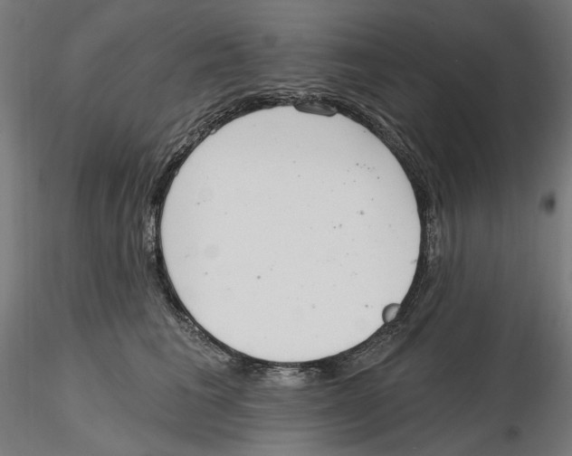 X0000116110613200912211634